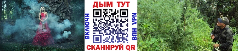 Купить наркотики Нерехта НБОМе ГАШ МЕГА рабочий сайт МАРИХУАНА APVP Псилоцибиновые грибы