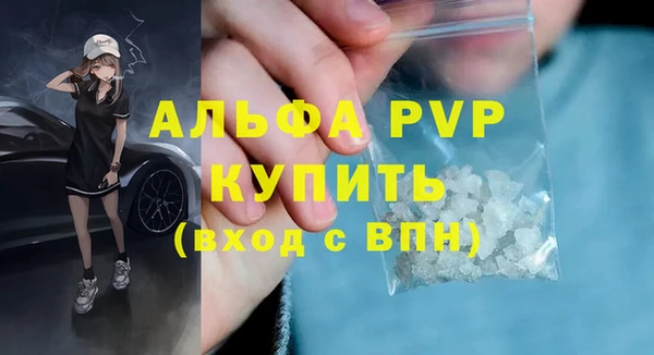 стаф Беломорск