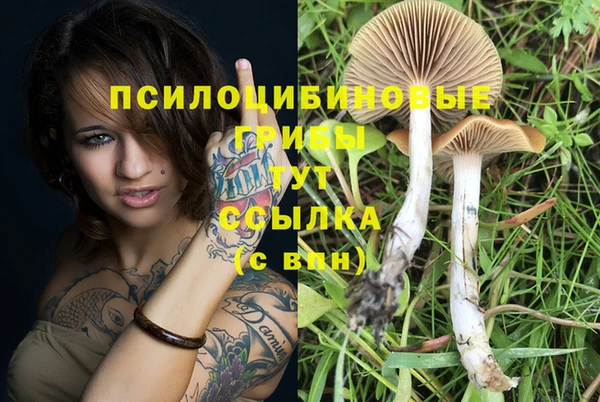 apvp Бугульма