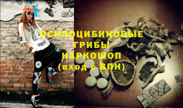 марки nbome Белокуриха